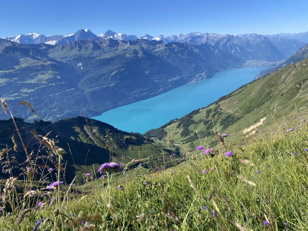 Lake Brienz, Switzerland
